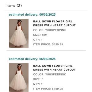 David's Bridal ball gown flower girl dress heart cutout